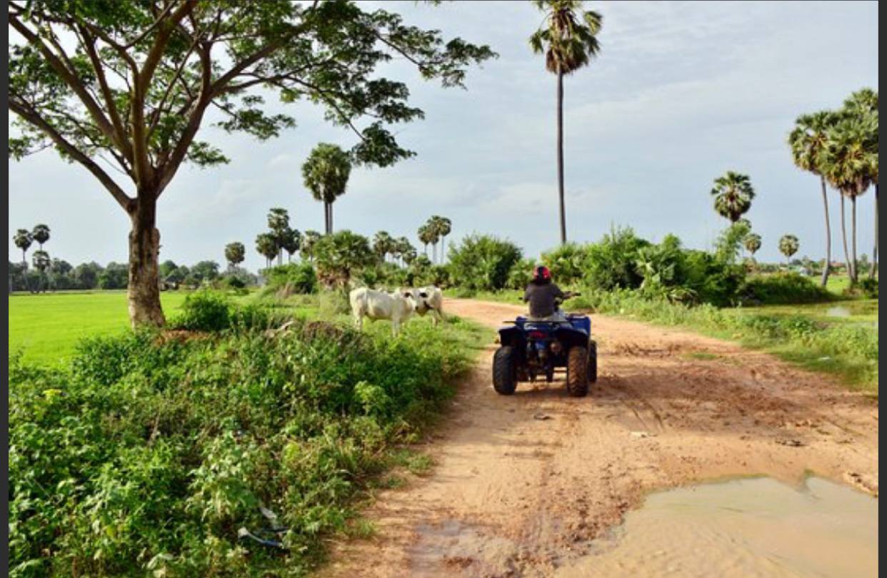 Gallery 1759825093 2