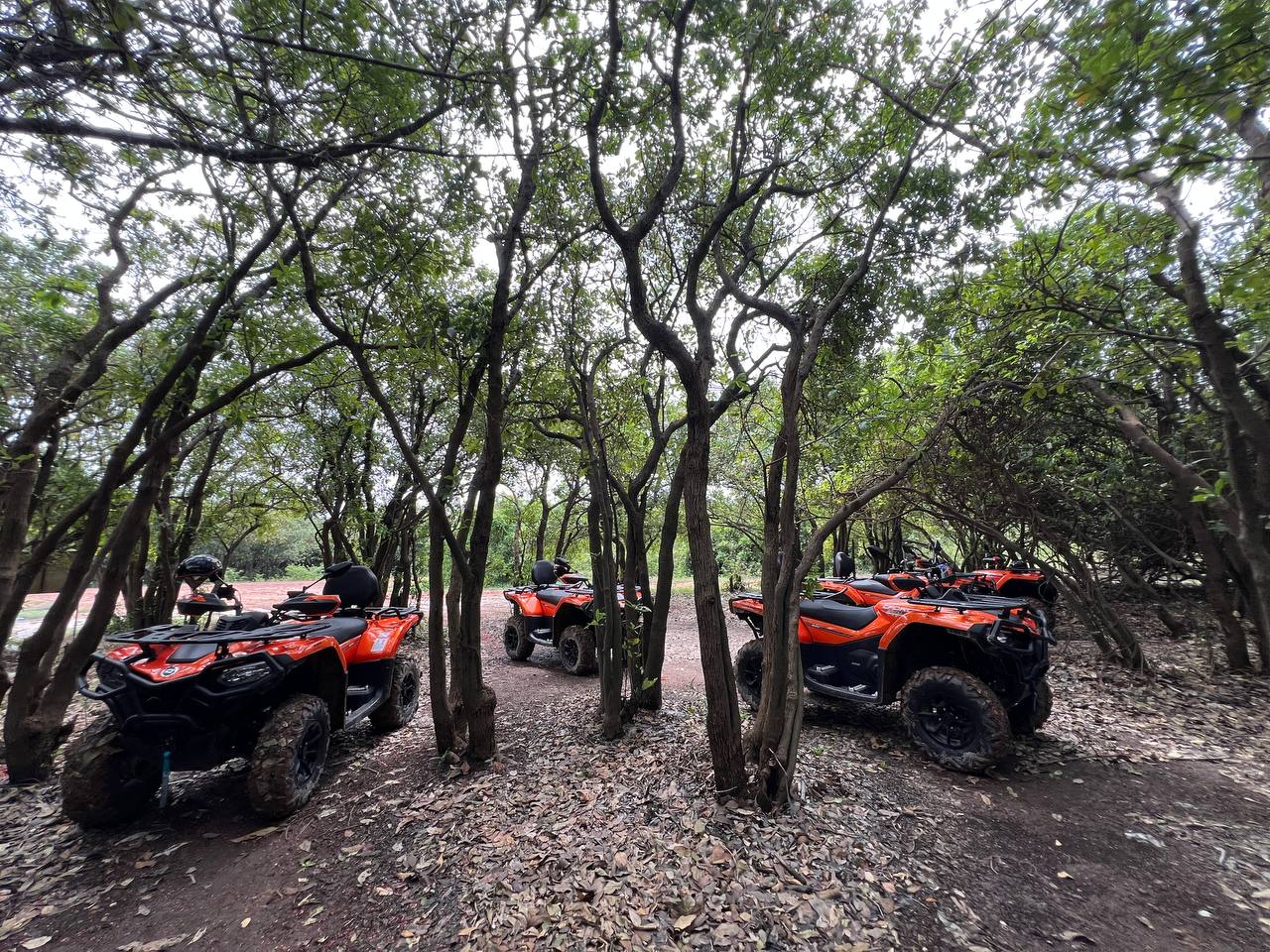 Gallery 1763111151 0